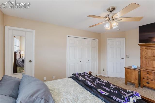 MLS Image for 1249  Marsh Hawk  ,Colorado Springs, Colorado
