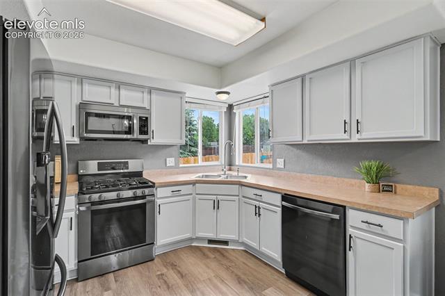 MLS Image for 4072  Happy Jack  ,Colorado Springs, Colorado