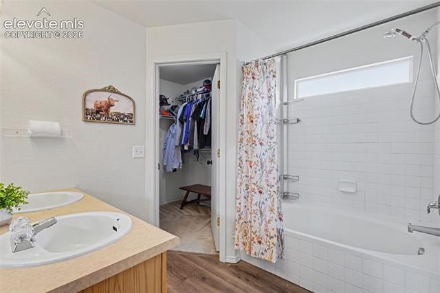 MLS Image for 4072  Happy Jack  ,Colorado Springs, Colorado