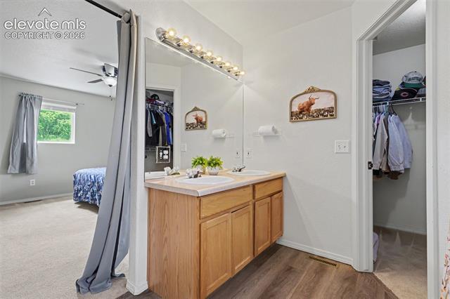 MLS Image for 4072  Happy Jack  ,Colorado Springs, Colorado