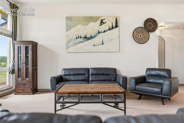 MLS Image for 17955  Tom Boy  ,Monument, Colorado