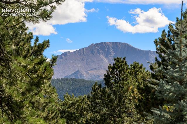 MLS Image for 2441  Glen Cove  ,Woodland Park, Colorado