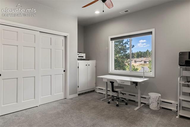 MLS Image for 2441  Glen Cove  ,Woodland Park, Colorado