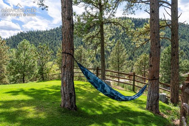 MLS Image for 2441  Glen Cove  ,Woodland Park, Colorado