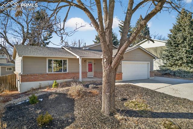 MLS Image for 1410  Auburn  ,Colorado Springs, Colorado