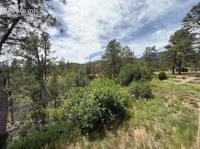 MLS Image for 1710  Rock Ridge  ,Colorado Springs, Colorado