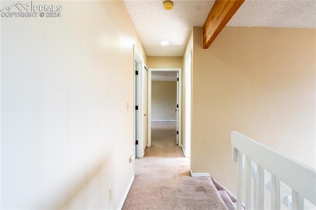 MLS Image for 3812  Glenhurst  ,Colorado Springs, Colorado