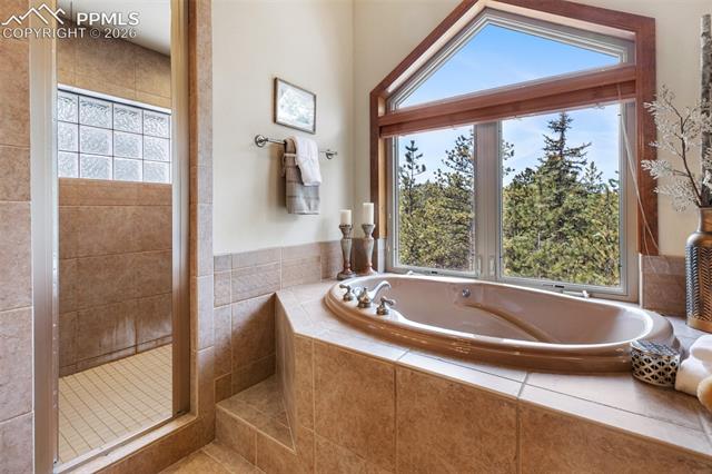 MLS Image for 775  Skyline  ,Woodland Park, Colorado
