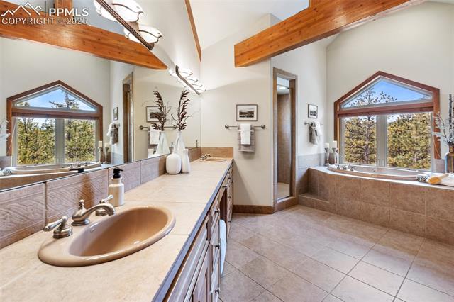 MLS Image for 775  Skyline  ,Woodland Park, Colorado