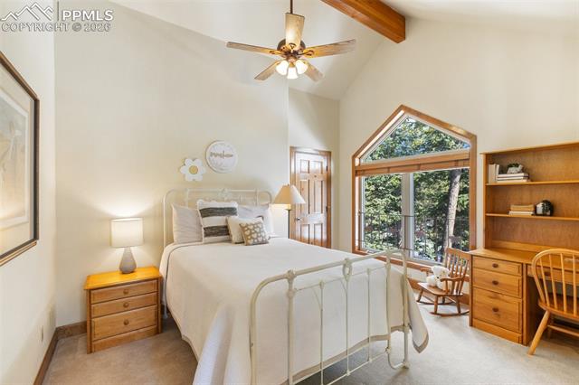 MLS Image for 775  Skyline  ,Woodland Park, Colorado