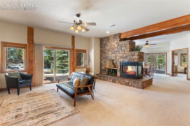 MLS Image for 775  Skyline  ,Woodland Park, Colorado