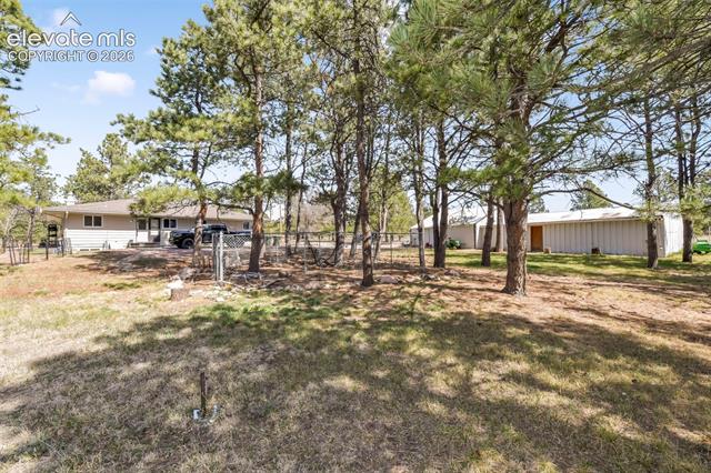 MLS Image for 11165  Pine Meadows  ,Colorado Springs, Colorado