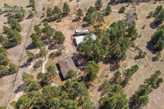 MLS Image for 11165  Pine Meadows  ,Colorado Springs, Colorado