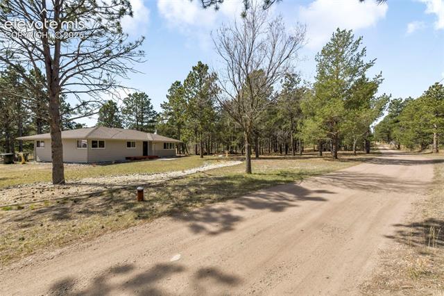 MLS Image for 11165  Pine Meadows  ,Colorado Springs, Colorado
