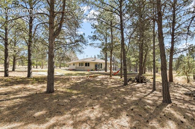 MLS Image for 11165  Pine Meadows  ,Colorado Springs, Colorado
