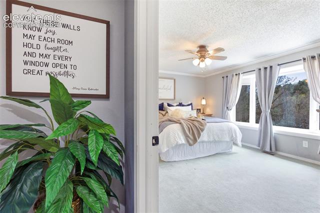 MLS Image for 625  Allegheny  ,Colorado Springs, Colorado