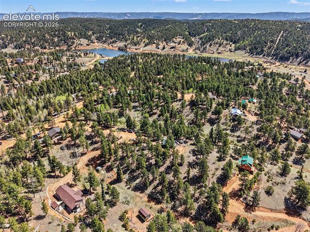 MLS Image for 45  Valley  ,Divide, Colorado