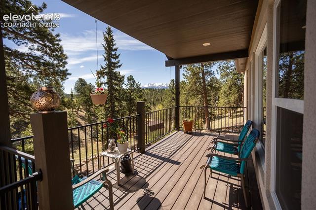 MLS Image for 45  Valley  ,Divide, Colorado