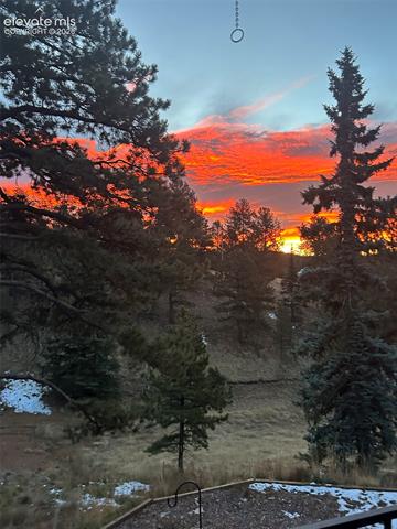 MLS Image for 45  Valley  ,Divide, Colorado