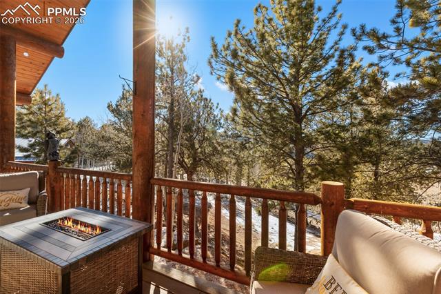 MLS Image for 26  Blue Spruce  ,Divide, Colorado