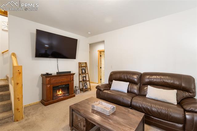 MLS Image for 26  Blue Spruce  ,Divide, Colorado