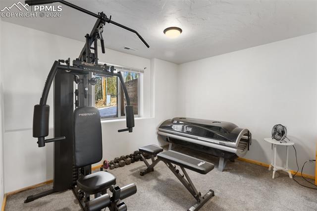 MLS Image for 26  Blue Spruce  ,Divide, Colorado