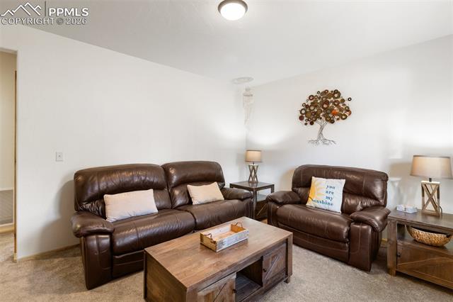 MLS Image for 26  Blue Spruce  ,Divide, Colorado