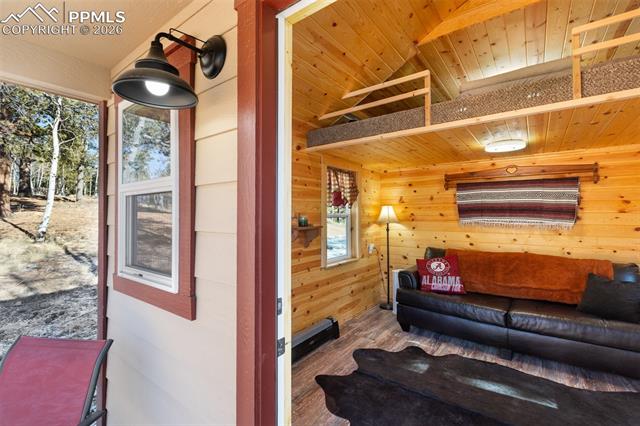 MLS Image for 26  Blue Spruce  ,Divide, Colorado