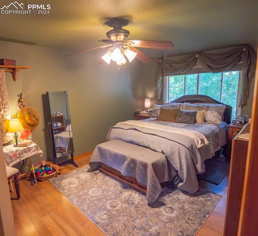 MLS Image for 4750  Iron Horse  ,Colorado Springs, Colorado