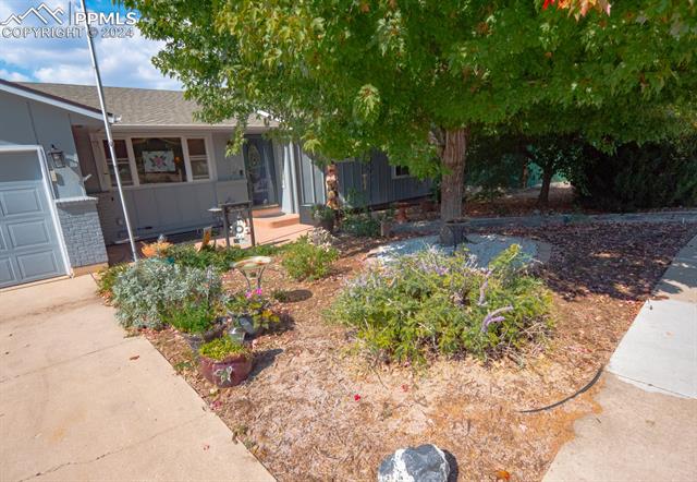 MLS Image for 4750  Iron Horse  ,Colorado Springs, Colorado