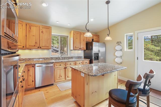 MLS Image for 185  Wildcat Creek  ,Florissant, Colorado