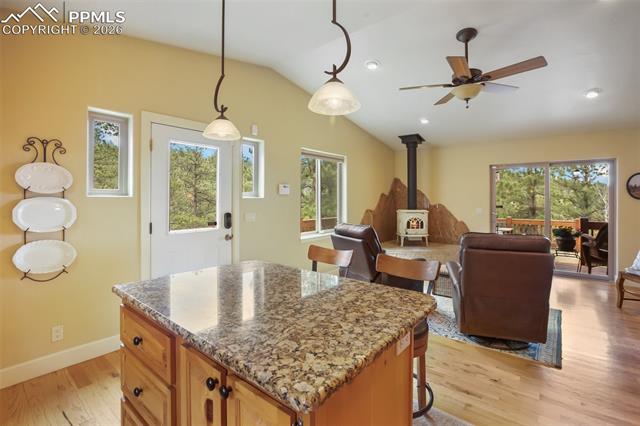MLS Image for 185  Wildcat Creek  ,Florissant, Colorado