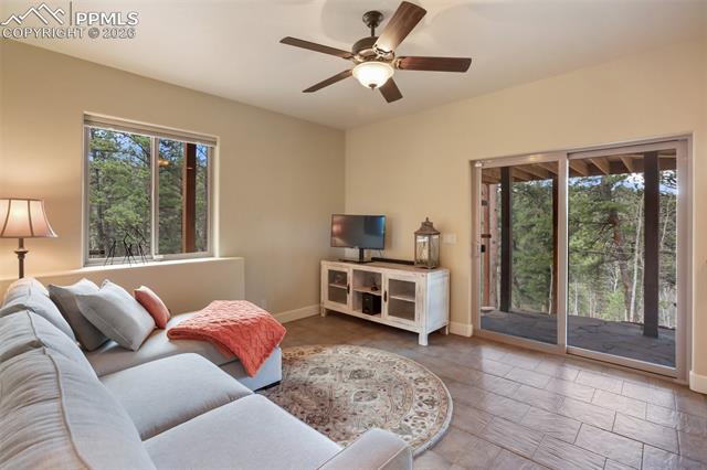 MLS Image for 185  Wildcat Creek  ,Florissant, Colorado