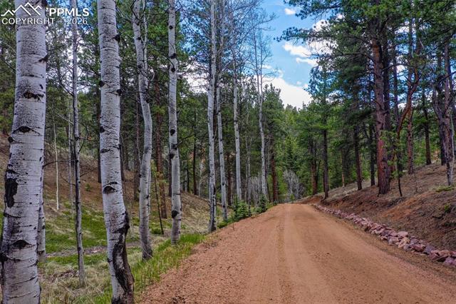 MLS Image for 185  Wildcat Creek  ,Florissant, Colorado