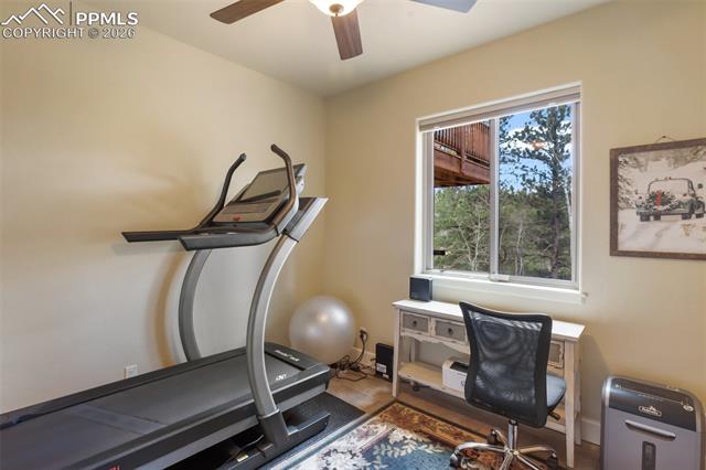MLS Image for 185  Wildcat Creek  ,Florissant, Colorado