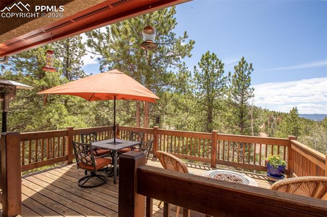 MLS Image for 185  Wildcat Creek  ,Florissant, Colorado