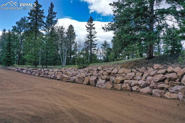 MLS Image for 185  Wildcat Creek  ,Florissant, Colorado