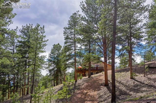 MLS Image for 185  Wildcat Creek  ,Florissant, Colorado