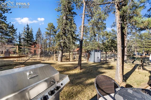 MLS Image for 118 E Chester  ,Woodland Park, Colorado