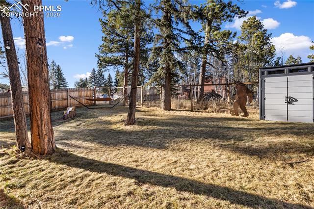 MLS Image for 118 E Chester  ,Woodland Park, Colorado