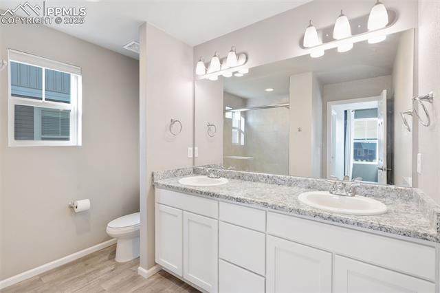 MLS Image for 7211  Sedgerock  ,Colorado Springs, Colorado