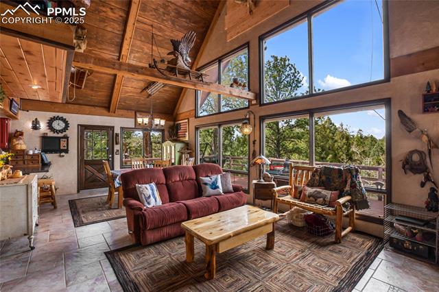 MLS Image for 2169  Spruce  ,Woodland Park, Colorado