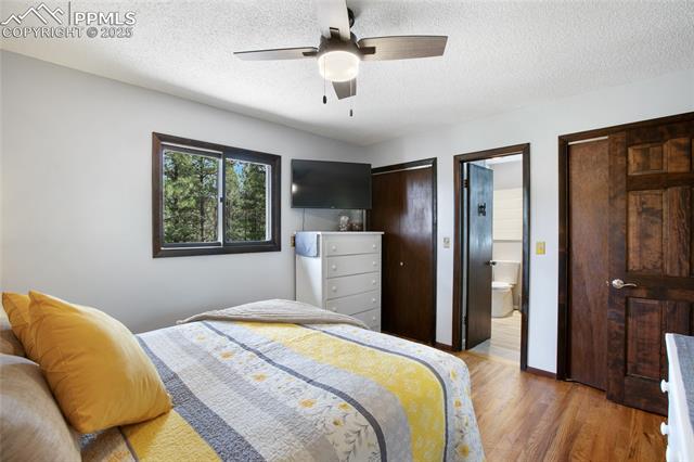MLS Image for 2169  Spruce  ,Woodland Park, Colorado