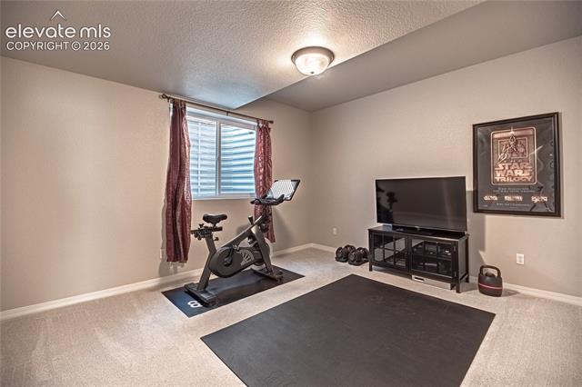 MLS Image for 8165  Foxtail Pine  ,Colorado Springs, Colorado