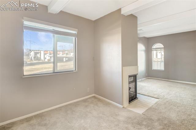 MLS Image for 1014  Fontmore  B ,Colorado Springs, Colorado