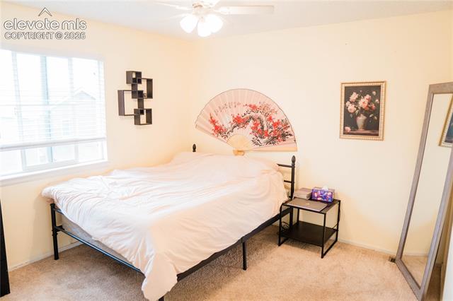 MLS Image for 6345  Naturita  ,Colorado Springs, Colorado
