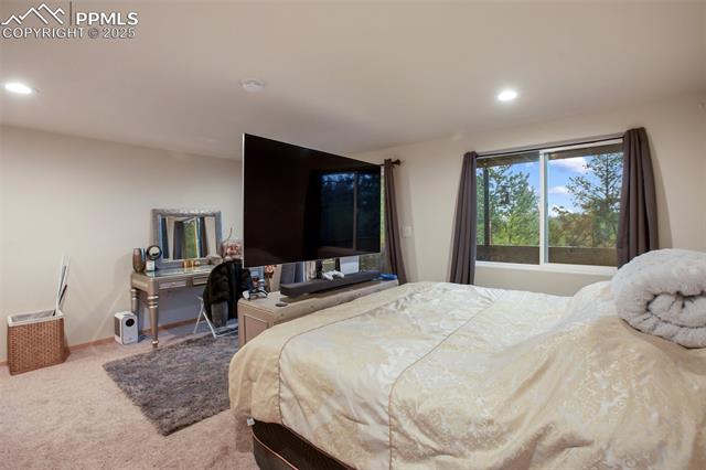 MLS Image for 80  Potlatch  ,Woodland Park, Colorado