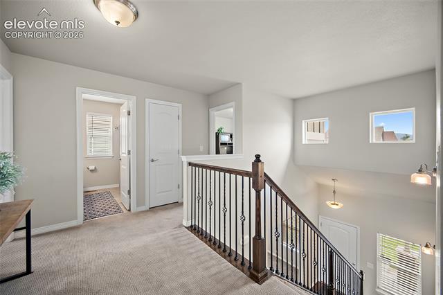 MLS Image for 9835  Rubicon  ,Colorado Springs, Colorado