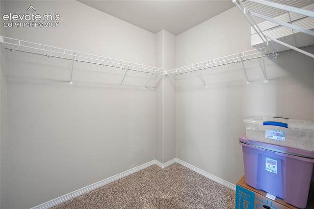 MLS Image for 9835  Rubicon  ,Colorado Springs, Colorado
