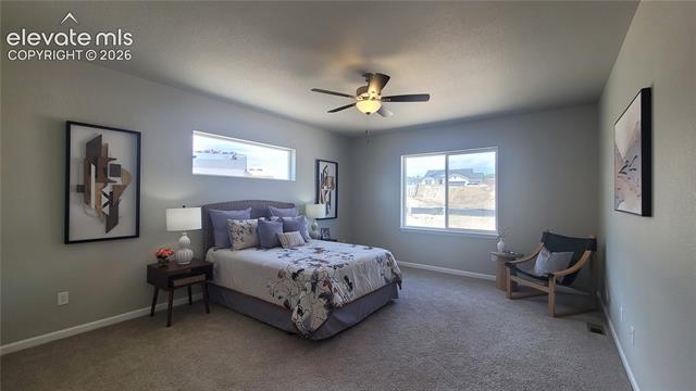 MLS Image for 6526  Miro  ,Colorado Springs, Colorado